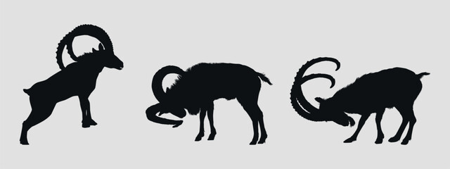 Set of black silhouettes of mountain goats. Vector on gray background