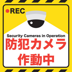正方形の防犯カメラ作動中、ドーム型