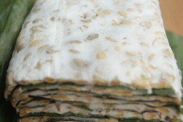 closeup raw tempeh