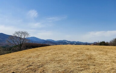 Serene Mountain Landscape with Vast Open Field and Clear Blue Sky, South Korea