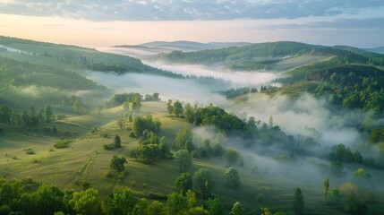 Naklejka premium Misty Morning Landscape