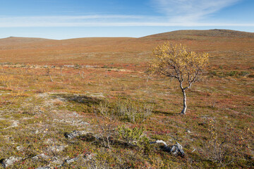 Autumn landscape over a mountain landscape in northern Finland