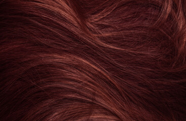 Dark red hair close-up as a background. Women's long brown hair. Beautifully styled wavy shiny curls. Coloring hair with bright shades. Hairdressing procedures, extension.
