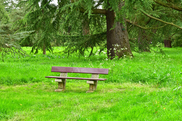 Versailles; France - april 7 2024 : Arboretum de Chevreloup