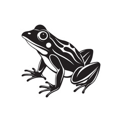 frog silhouette, black and white silhouette, vector and illustration