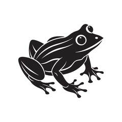 frog silhouette, black and white silhouette, vector and illustration