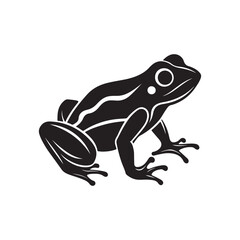 frog silhouette, black and white silhouette, vector and illustration