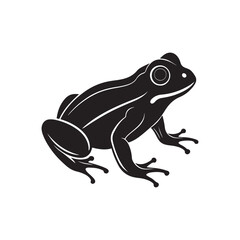 frog silhouette, black and white silhouette, vector and illustration