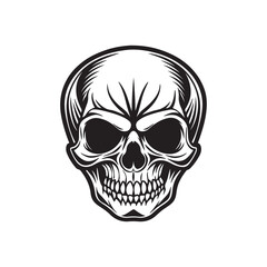 skull silhouette, black and white silhouette, vector and illustration