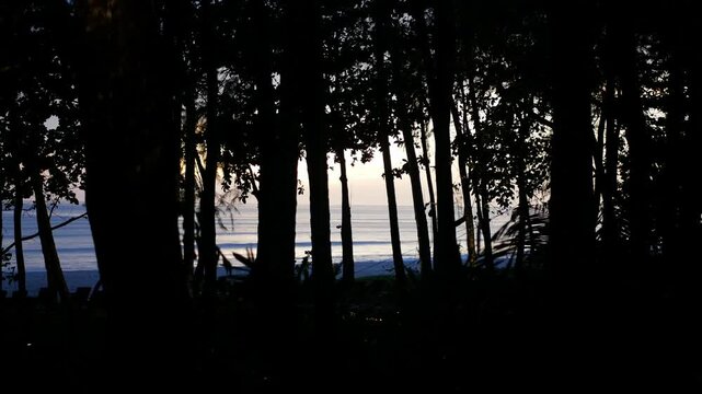natural view through jungle tropical forest to the beach sea inn summer sunset time with vanila golden sky. silhouettes of trees jungle forest on the beach in cinematic paradise tropical beach