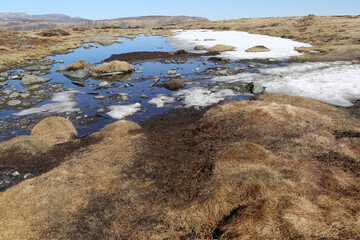 Mayar and Driesh munros - Glen Clova - Cairngorms National Park - Angus - Scotland - UK