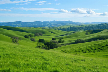 Fototapeta premium landscape of green fields with beautiful clouds floating over blue sky illustrating elements of natural beauty