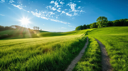 Fototapeta premium landscape of green fields with beautiful clouds floating over blue sky illustrating elements of natural beauty