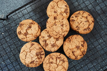 Chocolate cookies with dark chocolate chips