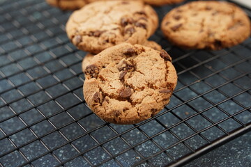 Chocolate cookies with dark chocolate chips