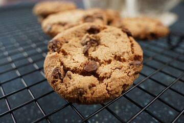 Chocolate cookies with dark chocolate chips