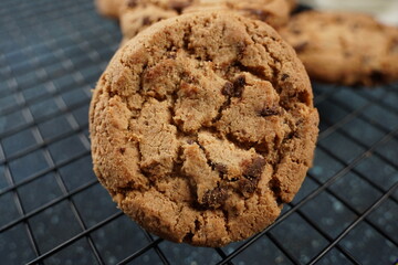 Chocolate cookies with dark chocolate chips