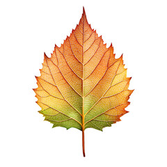 Fototapeta premium PNG transparent Colorful autumn leaf showcasing vibrant hues of orange and yellow against a white background
