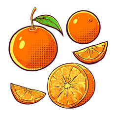 Vibrant Orange Illustration Bundle. Bold and energetic design. Collection of vibrant orange-themed vector art.