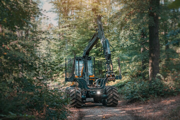 Excavator working in a forest, clearing land for timber extraction and showcasing the impact of deforestation in an industrial landscape