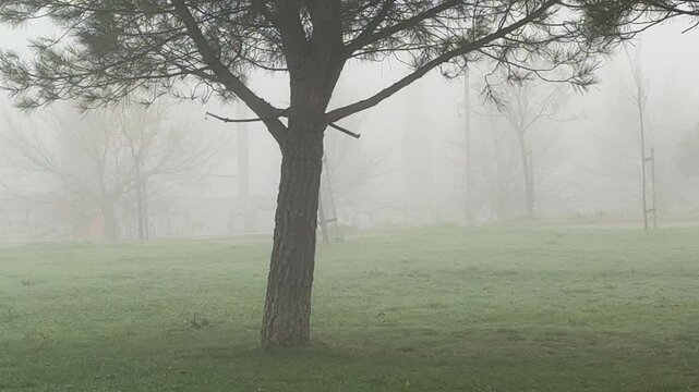 Misty fog enveloping sanchinarro park in madrid