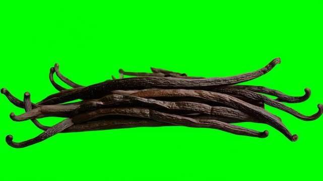 Beautifully arranged vanilla pods on vibrant green screen background