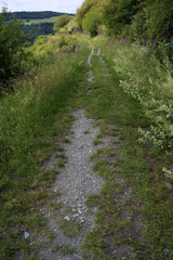 Rheinsteig trail between Lorch and Kaub - Hesse - Germany
