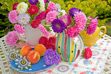 Callistephus flowers in crockery jugs  on a table with a bowl of peaches outdoors in a garden still...