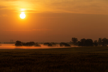 Sonnenaufgang über den Belziger Landschaftswiesen in Brandenburg, Deutschland