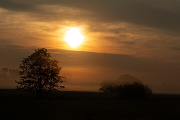 Sonnenaufgang über den Belziger Landschaftswiesen in Brandenburg, Deutschland