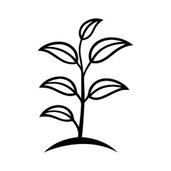 Plant vector illustration design on white background