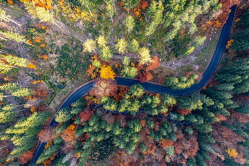 Droga wśród drzew © Izabela&Grzegorz