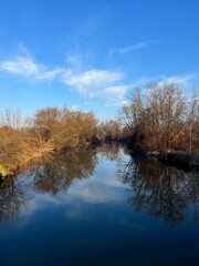 autumn trees reflected in the lake