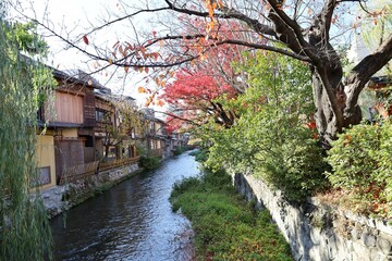 A scene of Shira-kawa Stream running through Gion in  Kyoto City in Japan