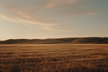 Fototapeta premium Rolling golden fields stretch under a vast sky, embodying the expansive simplicity and warm allure of a sunlit prairie landscape.