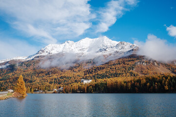 秋のスイス 冠雪した山と黄葉