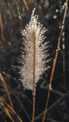 macro shot of single blade of grass covered in morning dew, glistening in sunlight. delicate droplets create sparkling effect, enhancing beauty of nature