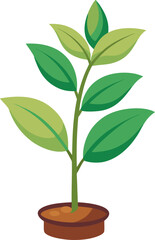 young green plant vector illustration