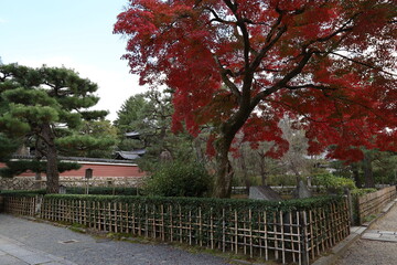 A Japanese temple : a scene of the precincts of Kennin-ji Temple in Kyoto City