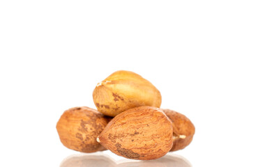 Several hazelnuts, close-up, isolated on white background.