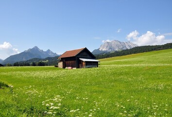 Die Buckelwiesen bei Mittenwald
