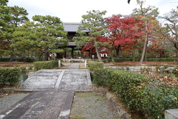 A Japanese temple : a scene of the precincts of Kennin-ji Temple in Kyoto City