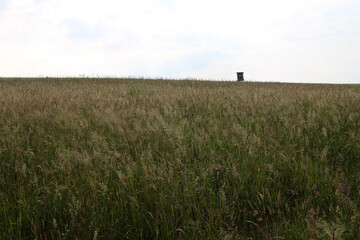 Countryside, farmland and forest around Wellmich - Rheinsteig - between Saint Goarshausen and Kamp-Bornhofen - Hesse - Germany