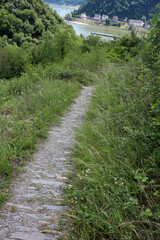 Rheinsteig track between Loreley and Saint Goarshausen - between Kaub and Saint Goarshausen - Hesse - Germany