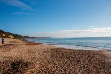 A open view of the sand and peddles leading into the cold icing water of the ocean.