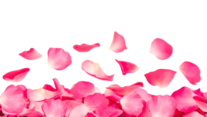 falling pink rose petals