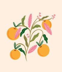 illustration of fruits