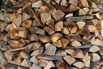 Stack of wood logs by Lykershausen - Rheinsteig - between Saint Goarshausen and Kamp-Bornhofen - Hesse - Germany