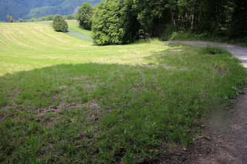 Between Lahnstein auf der Höhe and Frieland - Rheinsteig - between Braubach and Koblenz - Hesse - Germany