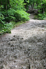 Trail around Lahnstein - Rheinsteig - between Braubach and Koblenz - Hesse - Germany